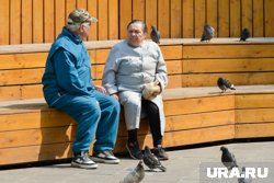 Пенсионерам напомнили о действующих на территории России льготах