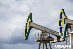 Индия продолжит закупать нефть из России