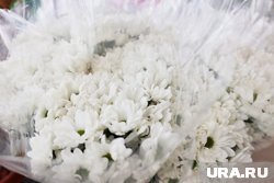 Цветы уничтожили