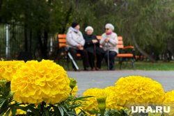 Работники сферы образования имеют право выйти на пенсию досрочно