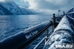 Дело о подрыве газопроводов продолжает расследоваться в Европе