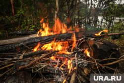 За разведение костра на даче не по правилам можно получить штраф от пяти до 15 тысяч рублей, заявила Билялова