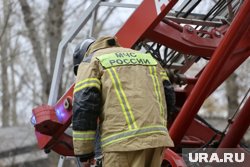 Курганские пожарные потушили огонь на базе отдыха
