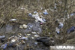 Еще одну свалку около кладбища заметили жители города 