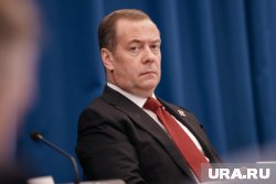 Медведев назвал европейцев комнатными собачками