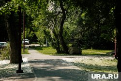На парковке появятся рябиновая роща и яблоневая аллея
