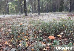 Глава региона решил немного отдохнуть от городской суеты