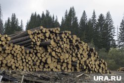 Лесопромышленные предприятия ХМАО наладили экспорт в Иран