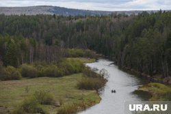 По одной из версии, Усольцевы могли заблудиться в лесу