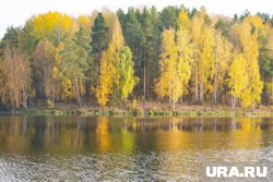 В северных районах потеплеет лишь до +6 градусов