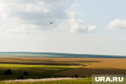 В Россельхознадзоре призвали поддерживать производителей, чьи поля заражены вредителями 