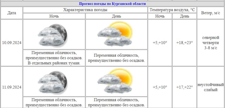 В Курганской области ожидается туманная погода