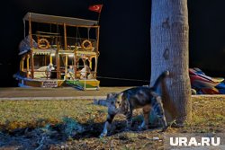 Некоторые животные легко переносят смену обстановки, другим лучше остаться в привычной среде