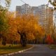 Мотоциклы, прогулки и семья: как курганские политики справляются с осенней хандрой