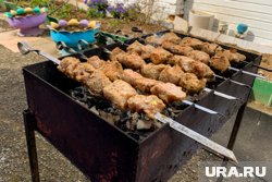 В Кургане продают мангал в виде фуры