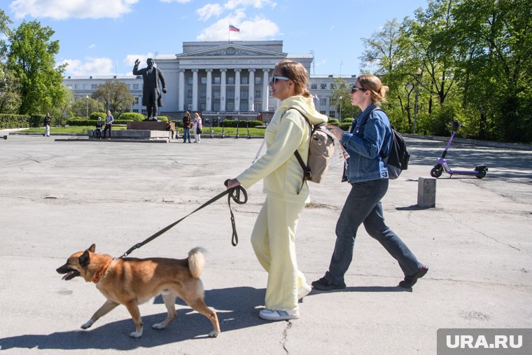 У УрФУ то и дело хотят кого-то присоединить
