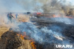 Пожар в Тамбейской тундре продолжают тушить (архивное фото)