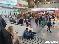 В Пулкове задерживают рейсы, пассажирам раздают коврики