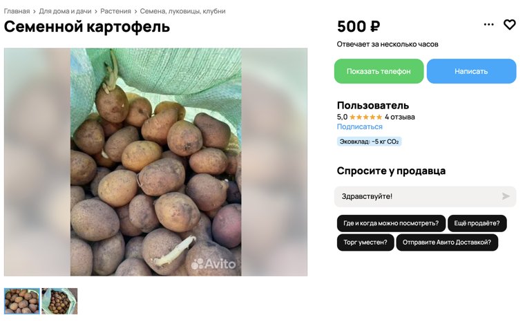 Семенной картофель можно купить через объявление