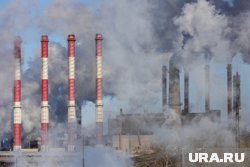 Бизнес не будет сам вкладываться в экологию, поэтому президент их подталкивает