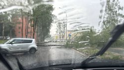 Непогода бушует в Клину