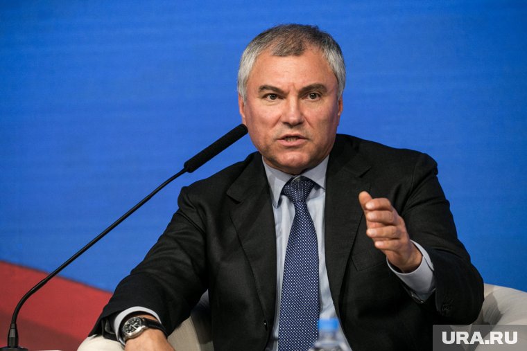 Вячеслав Володин заявил о пересмотре моратория на проверки бизнеса