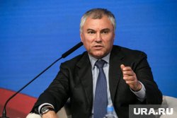 Вячеслав Володин заявил о пересмотре моратория на проверки бизнеса