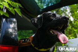 Не следует усложнять работу спасателей попусту тратя силы