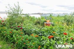 К работе на даче политики относятся с удовольствием