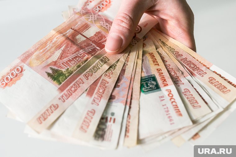 Нилов выступил против того, что бы базовый доход распространялся на обеспеченных граждан 