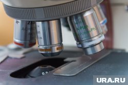 Результаты исследования помогут в разработке новых методов борьбы с раком