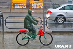 Порывы ветра до 12 м/с ожидаются в Кургане