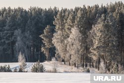 Югорские мэр Маненков и депутат Осадчук стали участниками экспедиции по Арктической зоне ХМАО