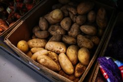 Хранить картофель можно лишь рядом с другими корнеплодами - например, морковью