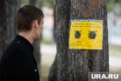 При соблюдении мер предосторожности обработка территории против клещей безвредна для людей и домашних животных