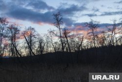 Двигайтесь по открытым пространствам, избегая густого леса