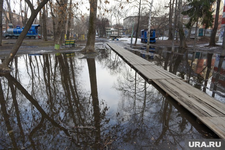 Подарок получит мэр города, жители которого будут чаще жаловаться на лужи