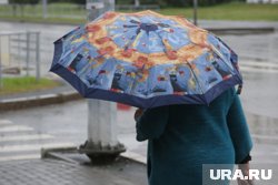 В Тюмени 20 апреля будет пасмурно 