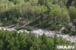 Теперь лесопарковую зону в Тюмени смогут привести в порядок и благоустроить