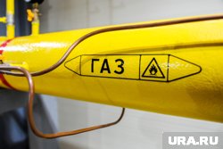 Газопровод «Волхов – Мурманск» введут в эксплуатацию до 2030 года