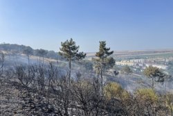 Огонь распространился на площади 3 000 кв. метров