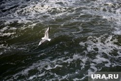 3 мая 1945 года в водах Балтийского моря произошла трагедия, унесшая жизни тысяч людей