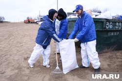 Ямальцы подали почти 400 заявок на включение в отряд