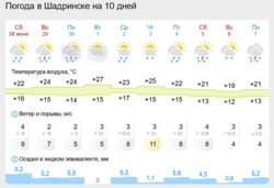 Погода в Шадринске на ближайшие дни