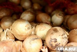 Цена на лук выросла почти на 20%