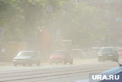 Курганцы просят избавить от отсева, из-за которого им тяжело дышать