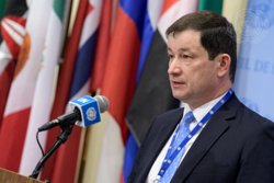 Полянский рассказал о предстоящем заседании Совбеза ООН