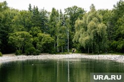 Ребенка вытащили из пруда очевидцы