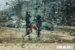 Курганцы жалуются, что их топит во время дождей