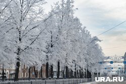 Зимние морозы ждут пермяков уже на этой неделе